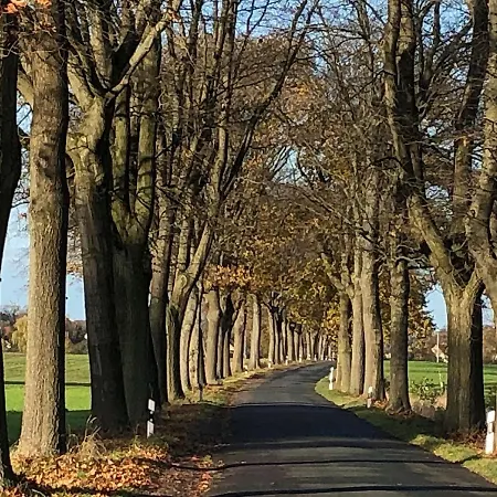 Neu! Ferienidyll Naehe Plauer * Halenbeck-Rohlsdorf